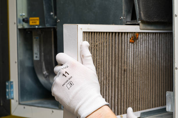 Best General Air Duct Cleaning  in Warm Springs, CA