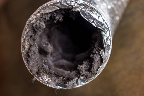 Best HVAC Air Duct Cleaning  in Warm Springs, CA