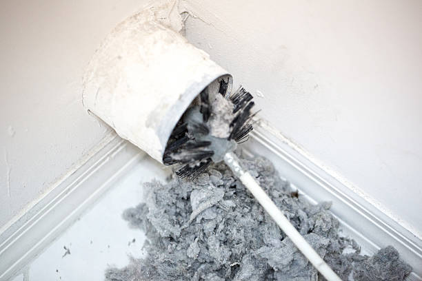 Best Affordable HVAC Duct Cleaning  in Warm Springs, CA